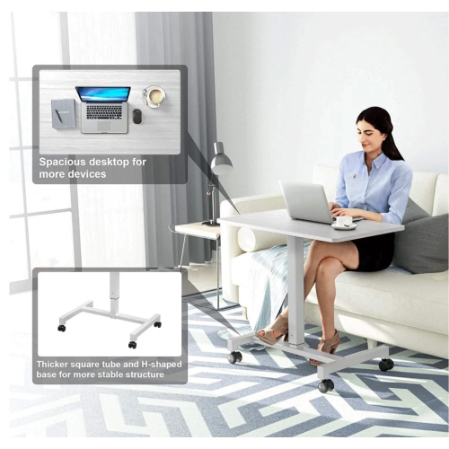 FitDesk Adjustable Height Mobile Standing Desk