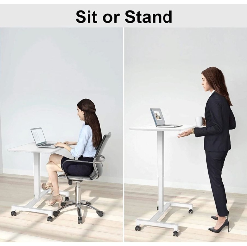 FitDesk Adjustable Height Mobile Standing Desk
