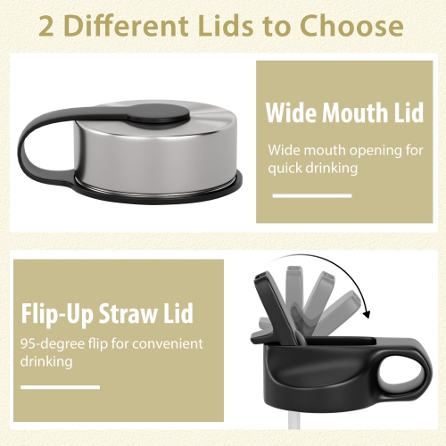 Costway 22 oz Double Wall Insulated Water Bottle Stainless Steel w/ 2 Lids & Straw