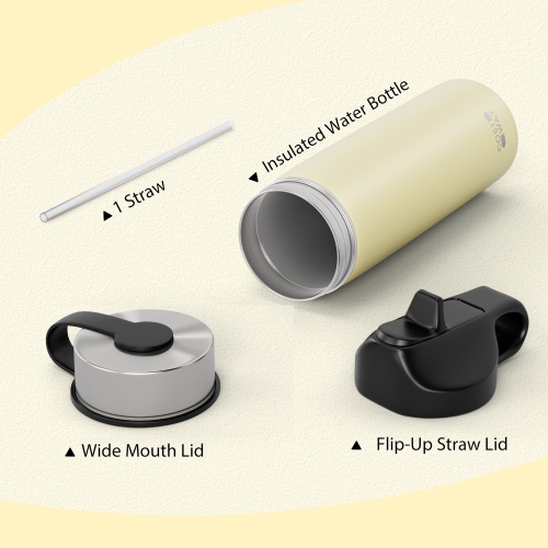 Costway 22 oz Double Wall Insulated Water Bottle Stainless Steel w/ 2 Lids & Straw