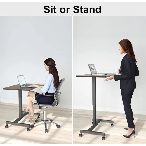 FitDesk Adjustable Height Mobile Standing Desk