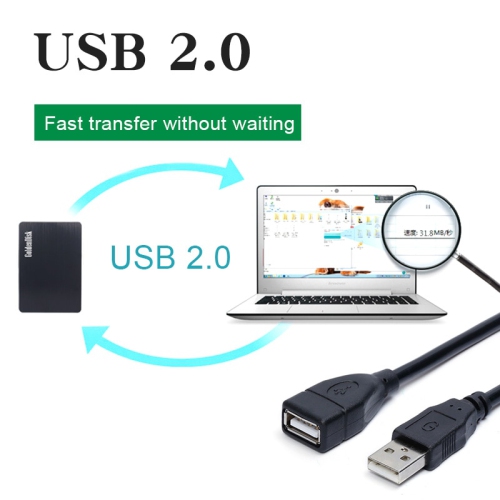 Rallonge USB 2.0 mâle à femelle de 6 pi/2 m