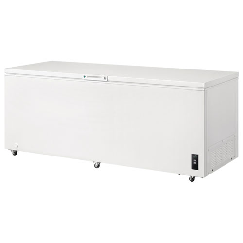 Frigidaire 24.8 Cu. Ft. Chest Freezer (FFCL2542AW)