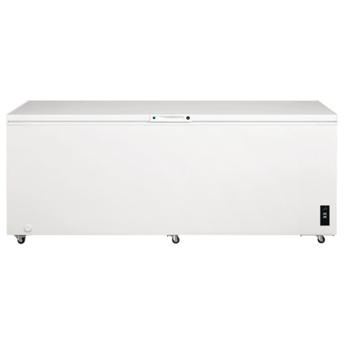 Frigidaire 24.8 Cu. Ft. Chest Freezer (FFCL2542AW)