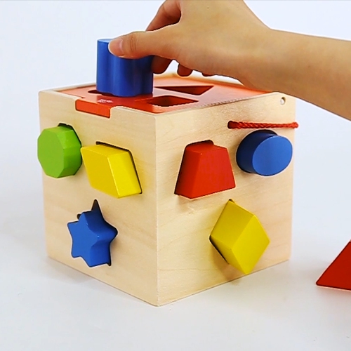 TOOKYLAND Cube Trieur de Formes en Bois - 13pcs - Boîte de Tri Jouet Éducatif, 12m+