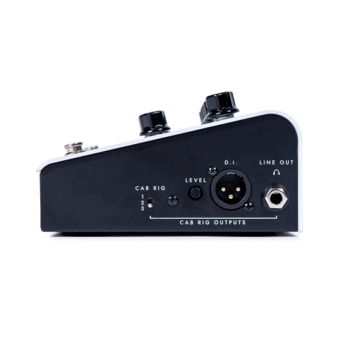 Blackstar Amplification Dept. 10 AMPED 1 100W Guitar Amplifier Pedal