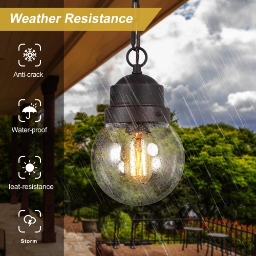 Traditional 1-Light Rustic Globe Glass Outdoor Wall Sconce Patio Light