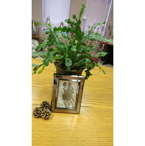 Elegance 4x6" Frame-Gun Metal Finish