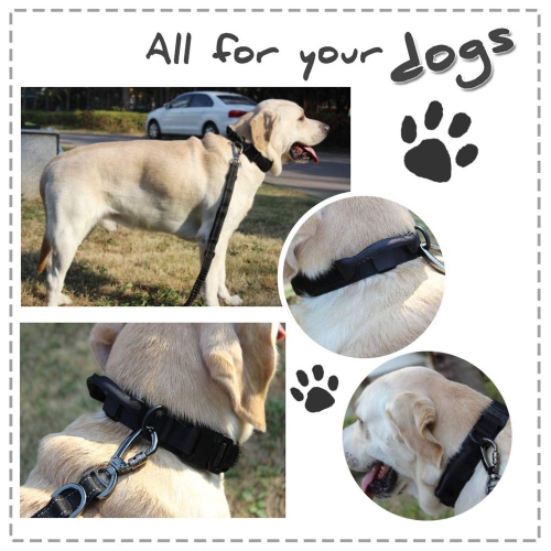 Collier de chien réglable en tissu de nylon avec boucle en métal robuste avec poignée de contrôle pour dressage de chien