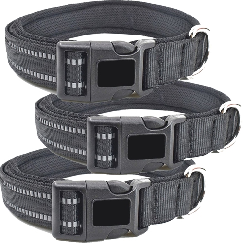 Dog belts outlet price