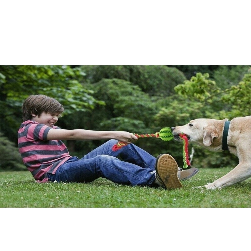 3 X Dog Chew Toys Durable Rubber Dog Toys for Chewers Tough Toys for Training and Cleaning Teeth Interactive Dog Toys