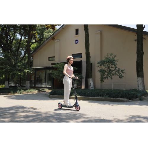 Refurbished Segway Ninebot ZING C20 eKickScooter