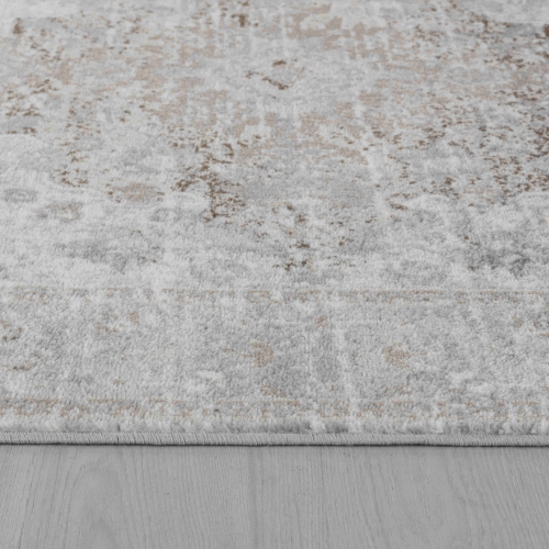 Rug Branch Sakarya Oriental Distressed Indoor Area Rug