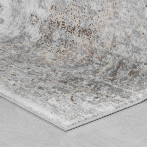 Rug Branch Sakarya Oriental Distressed Indoor Area Rug