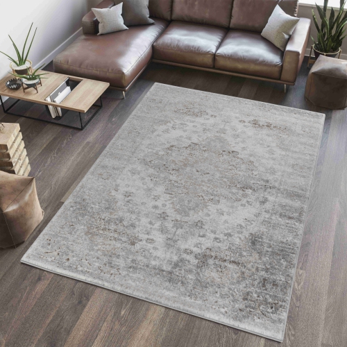 Rug Branch Sakarya Oriental Distressed Indoor Area Rug