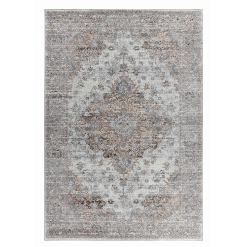 RUG BRANCH  Sakarya Oriental Distressed Indoor Area Rug