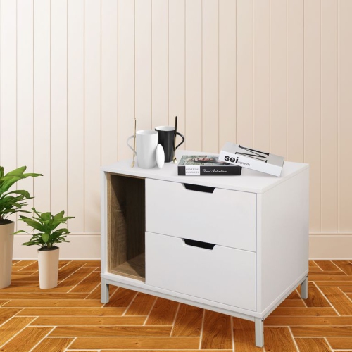 Cannan End Table with 2 Drawers & Shelf