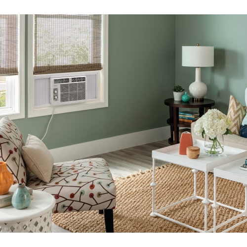 Frigidaire FFRA051WAE Window-Mounted Room Air Conditioner, 5,000 BTU with Temperature Control and Easy-to-Clean Washable Filter, in White