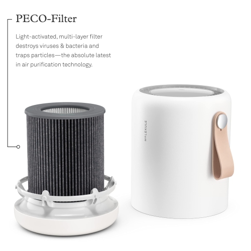 Molekule Air Mini & Air Mini+ - PECO-Filter,