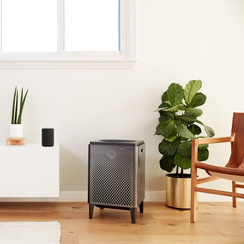 Coway Airmega 400S(G) App-Enabled Smart Technology Compatible with Amazon Alexa True HEPA Air Purifier, Covers 1,560 sq. ft, Graphite