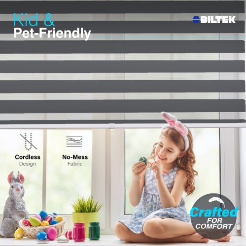 Stores sans fil à zébrures avec design moderne - stores roulants à deux couches - stores Unis et Sheer pour la transparence/intimité - idéal pour la