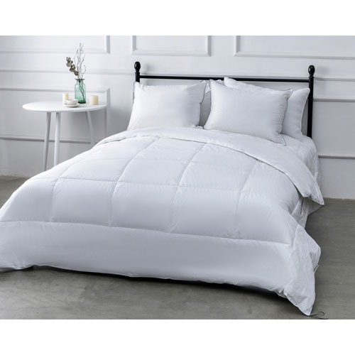 Millano Collection 250 Thread Count SilverClear Cotton Duvet - Queen - White