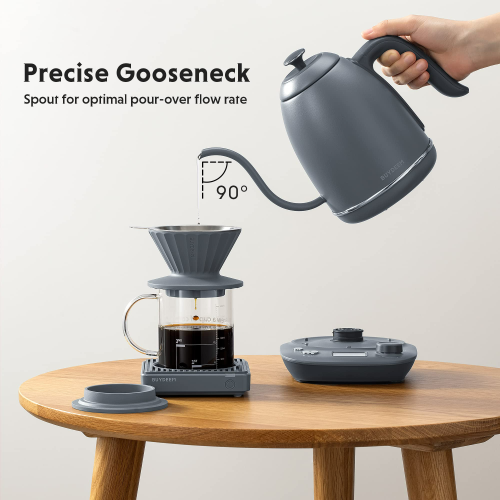 BUYDEEM K821 Electric Gooseneck Kettle with Variable Temperature Control, Pour Over Coffee Tea Kettle, Durable 18/8 Stainless Steel, Auto Keep Warm &