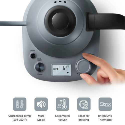 BUYDEEM K821 Electric Gooseneck Kettle with Variable Temperature Control, Pour Over Coffee Tea Kettle, Durable 18/8 Stainless Steel, Auto Keep Warm &