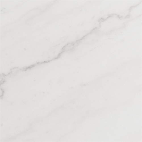 Bowery Hill Modern White Marble Top Coffee Table in White Marble