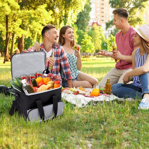 Ivation Portable Electric Cooler Bag, Thermoelectric Portable Cooler