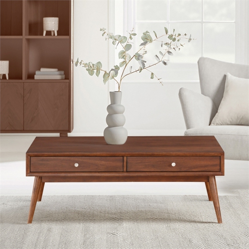 Lexicon Frolic Wood 2 Drawer Coffee Table in Brown