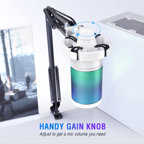 Microphone de jeu Fifine pour PC, ensemble micro USB à condensateur avec RVB, mise en sourdine rapide, bouton de gain, pied de perche, filtre