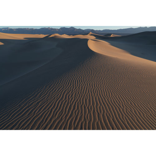 Sony E-Mount Full-Frame 20-70mm f/4 G Ultra-Wide Compact Lightweight Zoom Lens