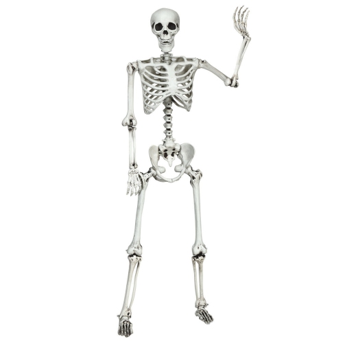 Gymax Full Body Halloween Skeleton 5.4ft Life Size w/ Hanging Rope Movable Joints