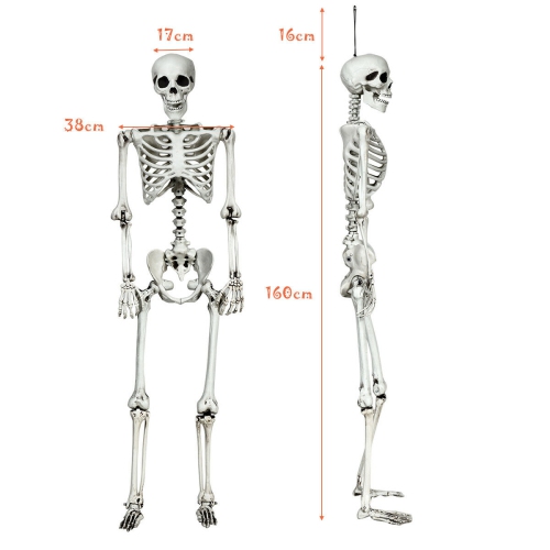 Gymax Full Body Halloween Skeleton 5.4ft Life Size w/ Hanging Rope Movable Joints