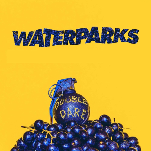 VIDCO-345  Double Dare (Vinyl) Waterparks 