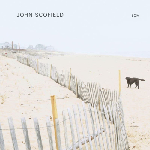 VIDCO-345  John Scofield (Vinyl) John Scofield