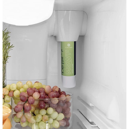 GE MSWF Refrigerator Water Filter