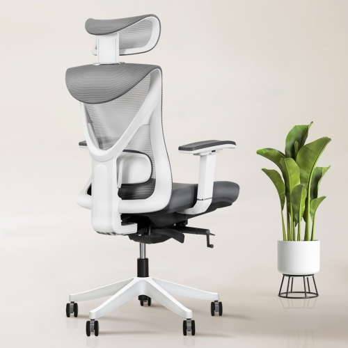 KaiChair Heavy-Duty Executive Home Office Chair Ergonomic Desk Chair with Lumbar Support 4D Armrest