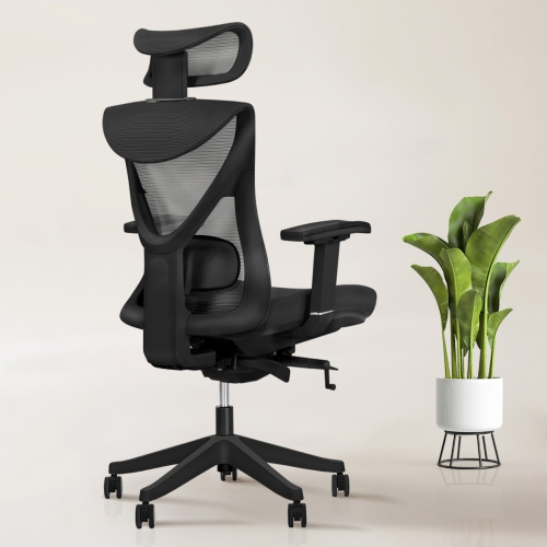 KaiChair Heavy-Duty Executive Home Office Chair Ergonomic Desk Chair with Lumbar Support 4D Armrest