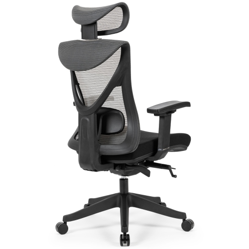 KaiChair Heavy-Duty Executive Home Office Chair Ergonomic Desk Chair with Lumbar Support 4D Armrest
