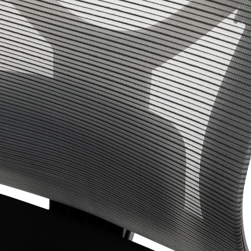 KaiChair Heavy-Duty Executive Home Office Chair Ergonomic Desk Chair with Lumbar Support 4D Armrest