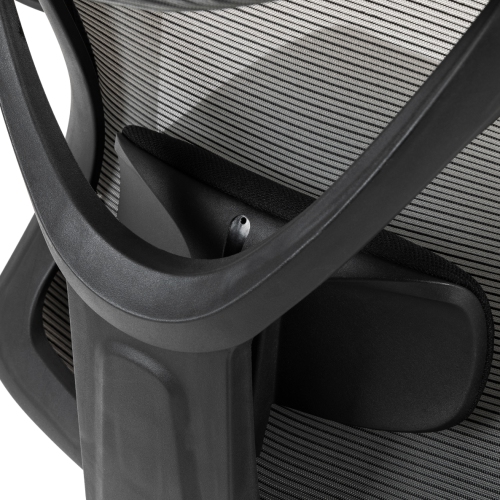 KaiChair Heavy-Duty Executive Home Office Chair Ergonomic Desk Chair with Lumbar Support 4D Armrest