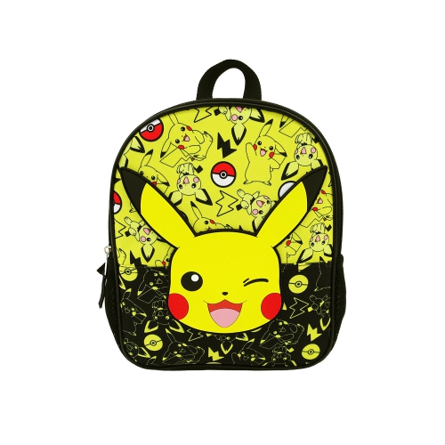 Pokemon Pikachu Pichu 11