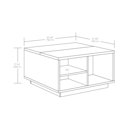 Sauder East Rock Engineered Wood Lift Top Coffee Table in Ashen Oak