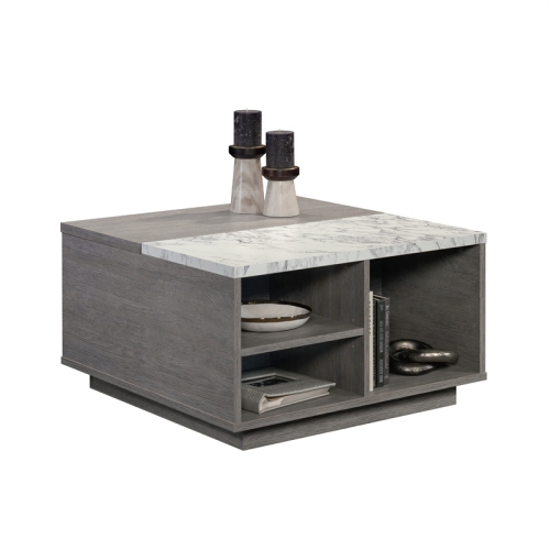 Sauder East Rock Engineered Wood Lift Top Coffee Table in Ashen Oak