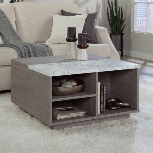 Sauder East Rock Engineered Wood Lift Top Coffee Table in Ashen Oak