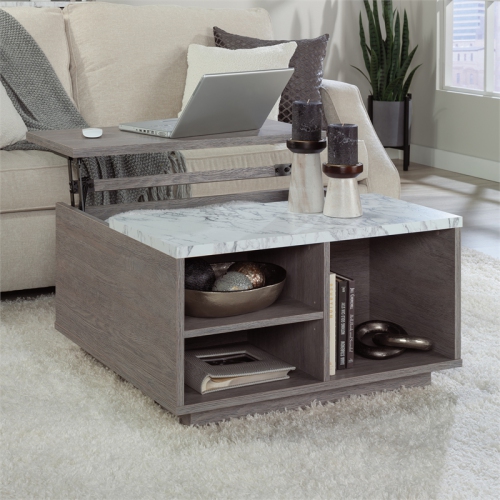 Sauder East Rock Engineered Wood Lift Top Coffee Table in Ashen Oak