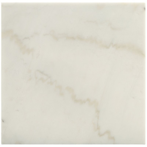 ACME Telestis 22" Square Marble Top End Table in White and Black