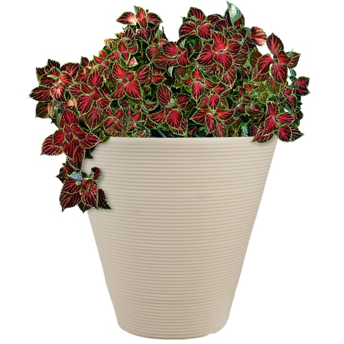 Sunnydaze 16 in Walter Polyresin Planter with UV-Resistance - Beige